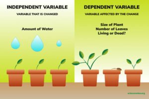 dependent variable