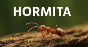 hormita