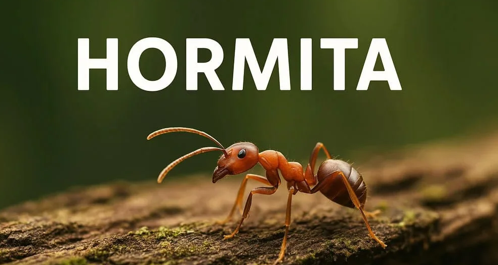 hormita